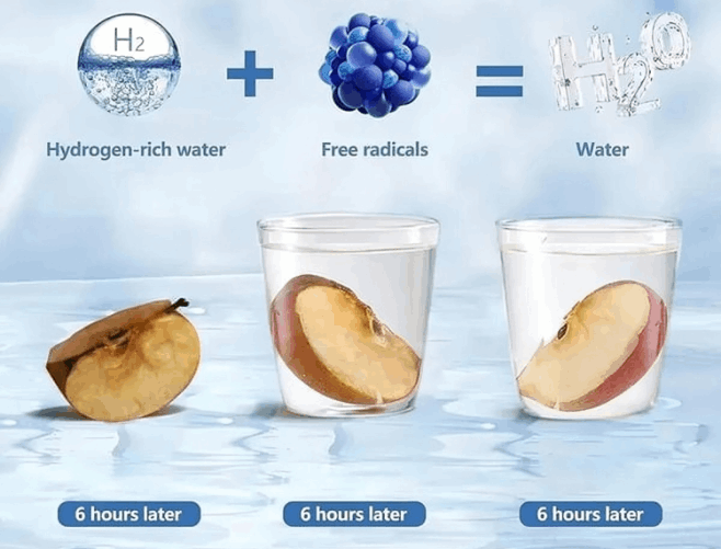 AquaFusion Hydrogen Bottle order now